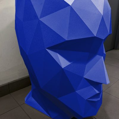 tête-bleu-rvb-site